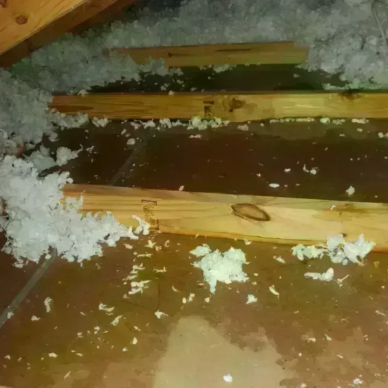 Attic Water Damage in Bradford, ME